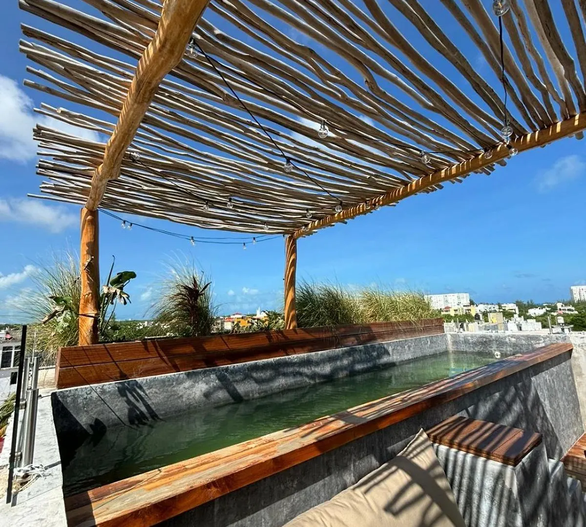 Διαμέρισμα Grand Loft With Rooftop Pool In The Heart Κανκούν